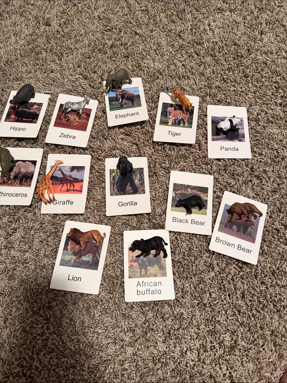 Animal Flash Card Set with Mini Figures - Multi-Color